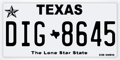 TX license plate DIG8645