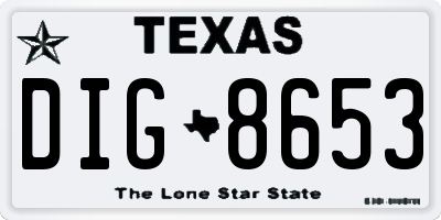 TX license plate DIG8653