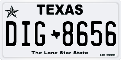TX license plate DIG8656