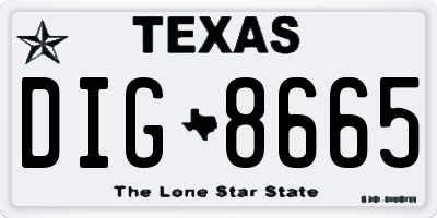 TX license plate DIG8665