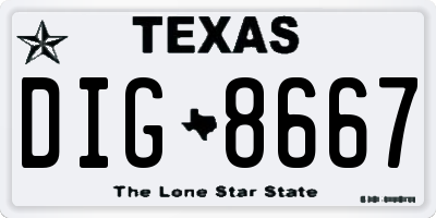 TX license plate DIG8667