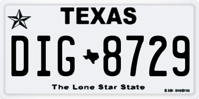 TX license plate DIG8729