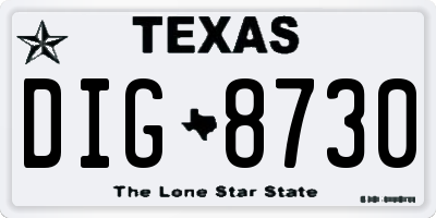 TX license plate DIG8730