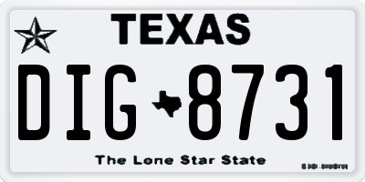 TX license plate DIG8731