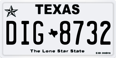 TX license plate DIG8732