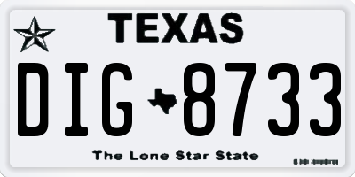 TX license plate DIG8733