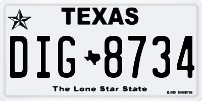 TX license plate DIG8734