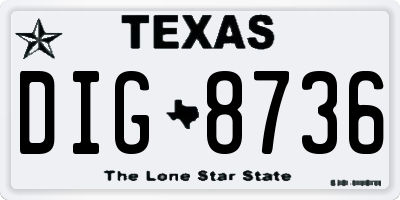 TX license plate DIG8736