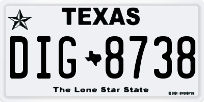 TX license plate DIG8738