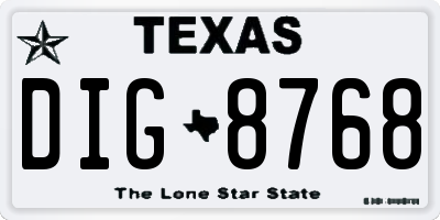 TX license plate DIG8768