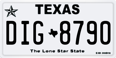 TX license plate DIG8790