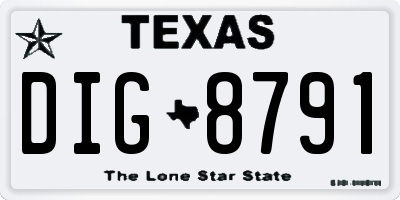 TX license plate DIG8791