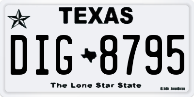 TX license plate DIG8795