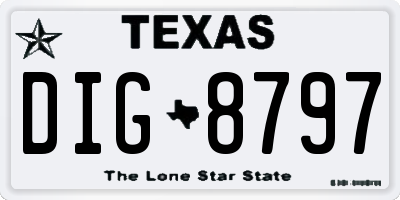 TX license plate DIG8797