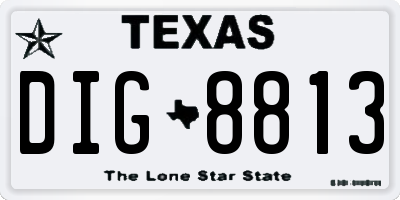 TX license plate DIG8813