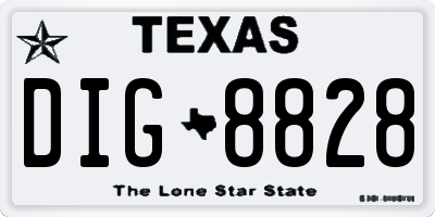 TX license plate DIG8828