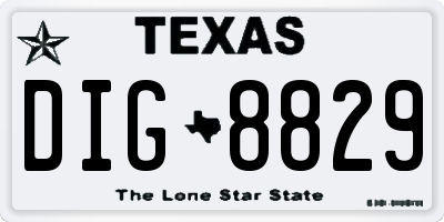 TX license plate DIG8829