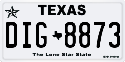 TX license plate DIG8873