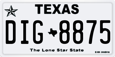 TX license plate DIG8875
