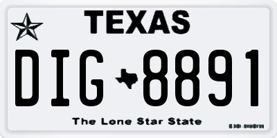 TX license plate DIG8891