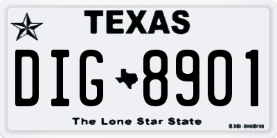 TX license plate DIG8901