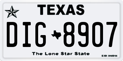 TX license plate DIG8907