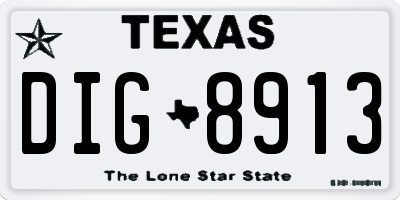 TX license plate DIG8913