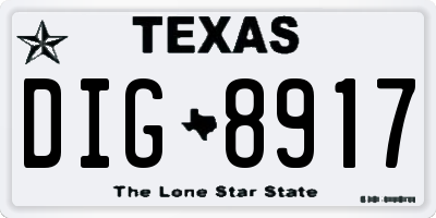 TX license plate DIG8917