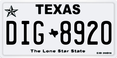 TX license plate DIG8920