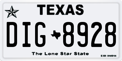 TX license plate DIG8928