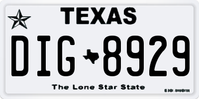 TX license plate DIG8929