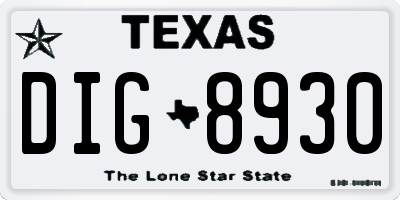 TX license plate DIG8930