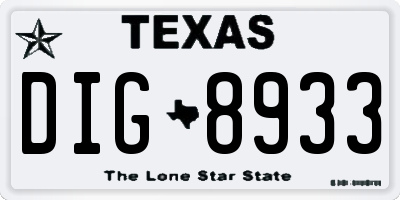 TX license plate DIG8933
