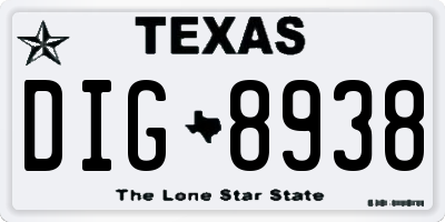 TX license plate DIG8938
