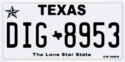 TX license plate DIG8953