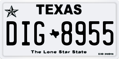 TX license plate DIG8955