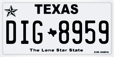 TX license plate DIG8959