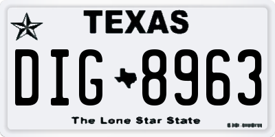 TX license plate DIG8963