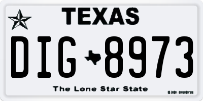 TX license plate DIG8973