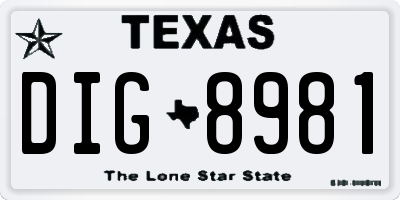TX license plate DIG8981