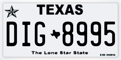 TX license plate DIG8995