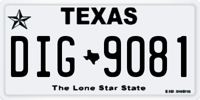 TX license plate DIG9081