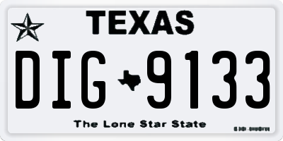 TX license plate DIG9133