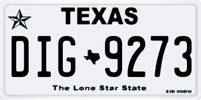 TX license plate DIG9273
