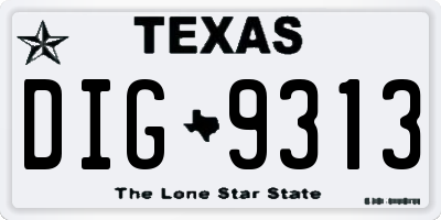 TX license plate DIG9313