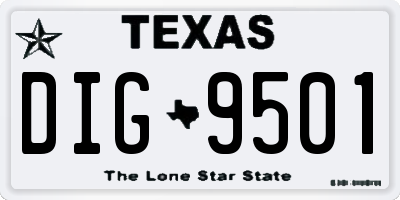 TX license plate DIG9501
