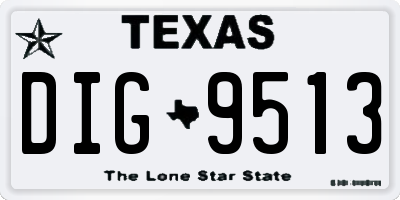 TX license plate DIG9513
