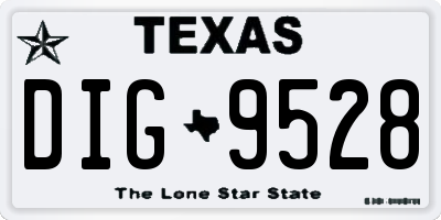 TX license plate DIG9528