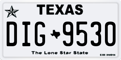 TX license plate DIG9530
