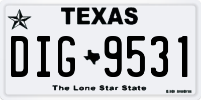 TX license plate DIG9531